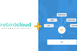 Image showing the FirebirdCloud logo and the Rave Logo